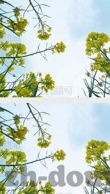 成年性伦理电影-成年性伦理电影，艺术、伦理与界限的微妙平衡
