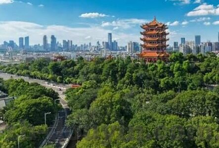 成人在线av视频-成人在线av视频，网络时代的伦理与界限