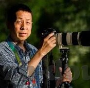 大香中文字幕伊人久热大-探索大香中文字幕伊人久热的多元魅力