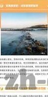 麻豆91免费版-探索网络世界的多元之窗——麻豆91的另类视角