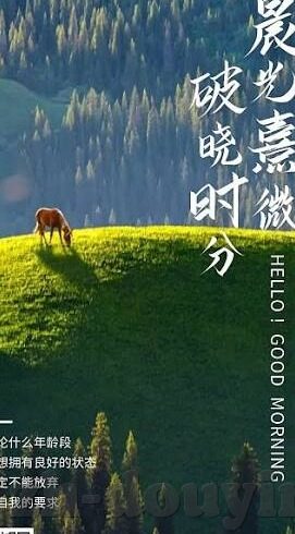 麻豆视频传媒app下载-抓住当下数字娱乐的脉搏，麻豆视频传媒APP的下载体验