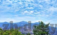 麻豆视频最新网址-麻豆视频最新网址的探索与辨别