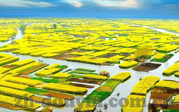 忍不住的亲子中文字幕-忍不住的亲子中文字幕，爱的无声语言
