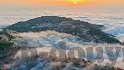 糖心app下载官网-探索生活娱乐新平台——糖心app的下载与体验之旅