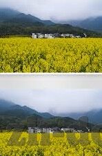 糖心柯德官网-探索糖心柯德官网的奇妙之旅，创意与科技的完美融合