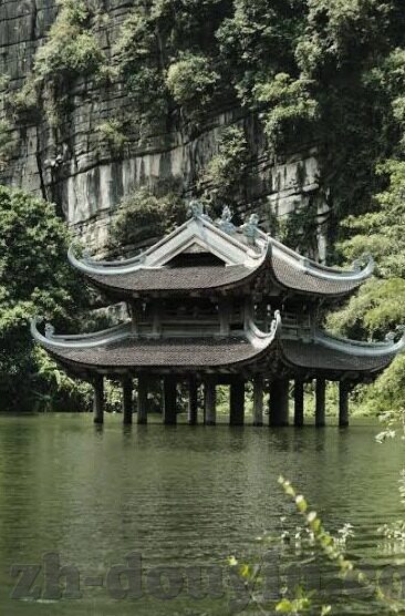 www800av麻豆-在数字世界的轻松漫步，深挖 www800av 麻豆现象