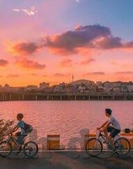 中文字幕在在线a站-探索中文字幕在在线A站的魅力与影响
